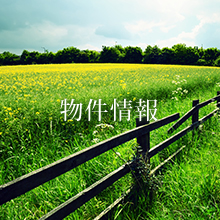 物件情報